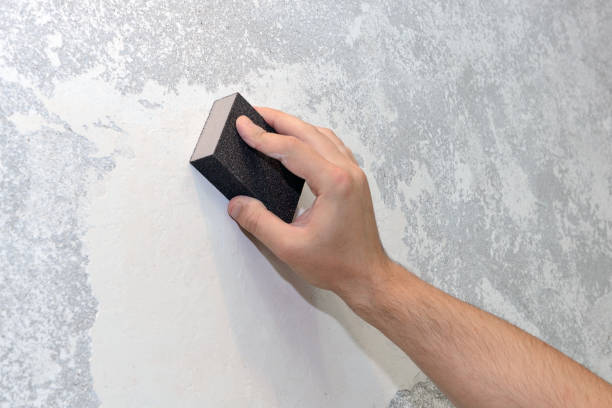 Best Emergency Mold Remediation  in Fort Morgan, CO