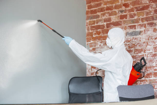 Best Environmental Consulting for Mold Prevention  in Fort Morgan, CO