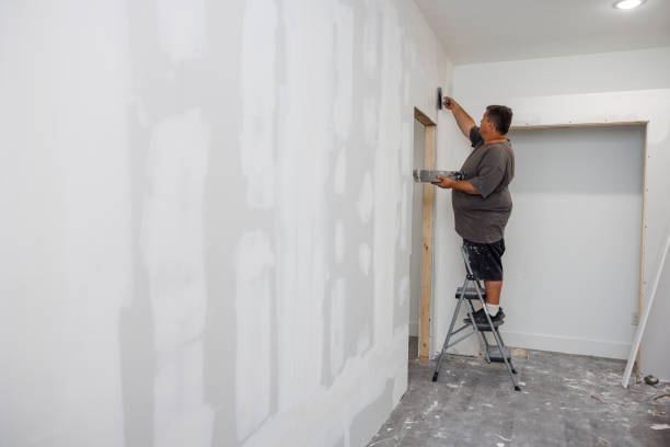 Best Industrial Mold Remediation  in Fort Morgan, CO